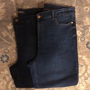 Talbots Jeggings